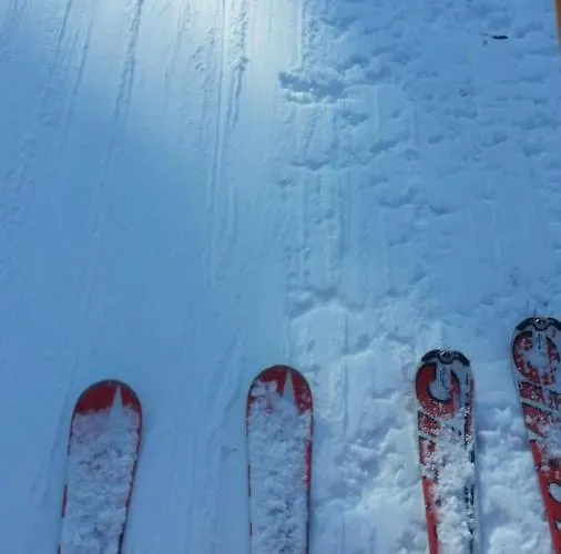 Pilgrims Elfriede- Freundliche Apartment
